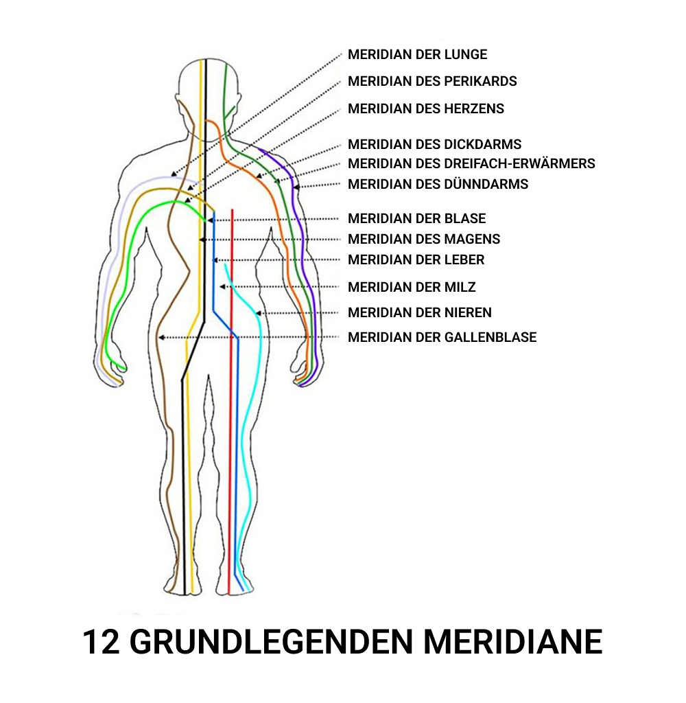 Tuina-Massage 3 Diagramm der 12 grundlegenden Meridiane am menschlichen Körper, darunter Lunge, Herz, Blase, Magen, Leber, Milz, Nieren und Gallenblase