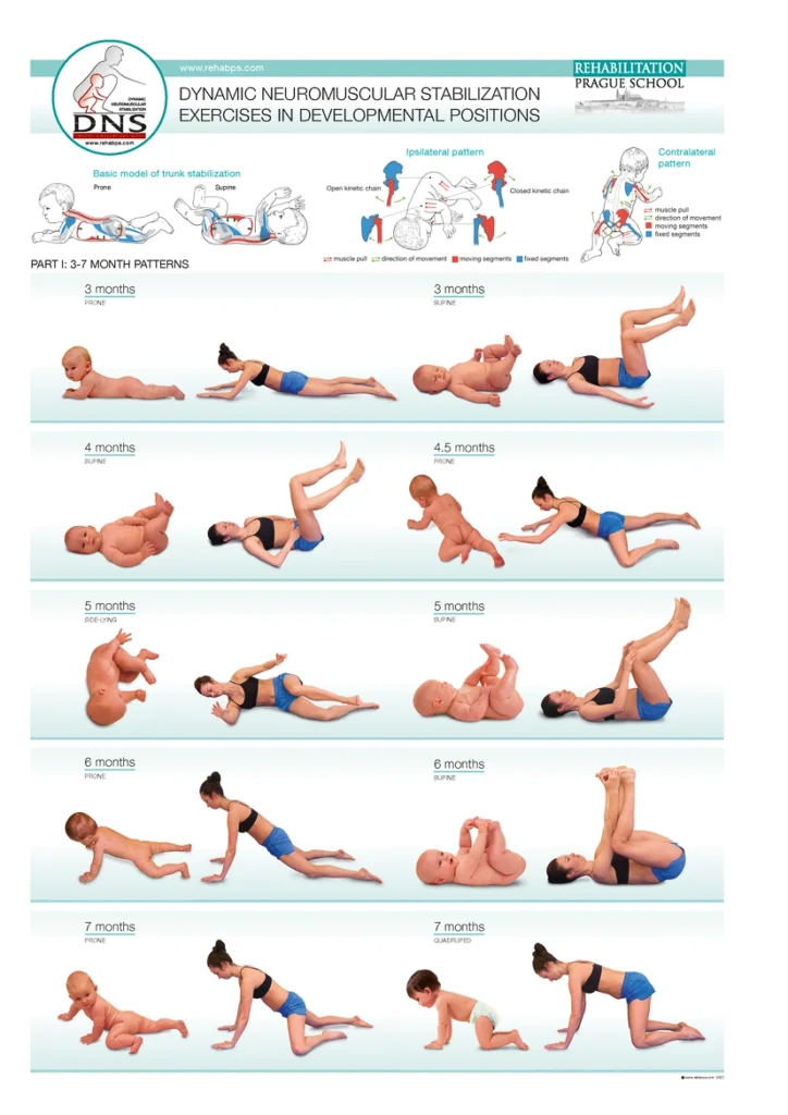 DNS-Poster: Dynamische neuromuskuläre Stabilisierungsübungen in Entwicklungspositionen, 3–7 Monate, Rehabilitation Prague School